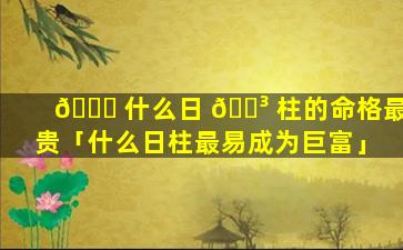 🐘 什么日 🌳 柱的命格最贵「什么日柱最易成为巨富」